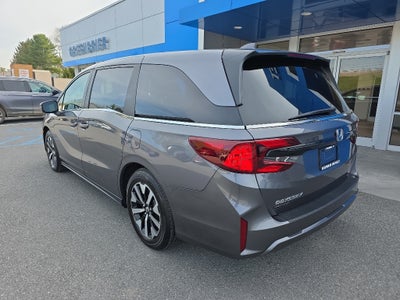 2025 Honda Odyssey EX-L