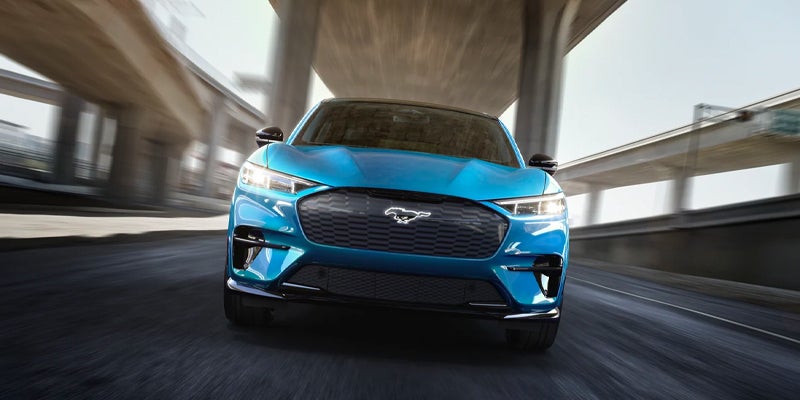 blue Mustang Summers County, WV