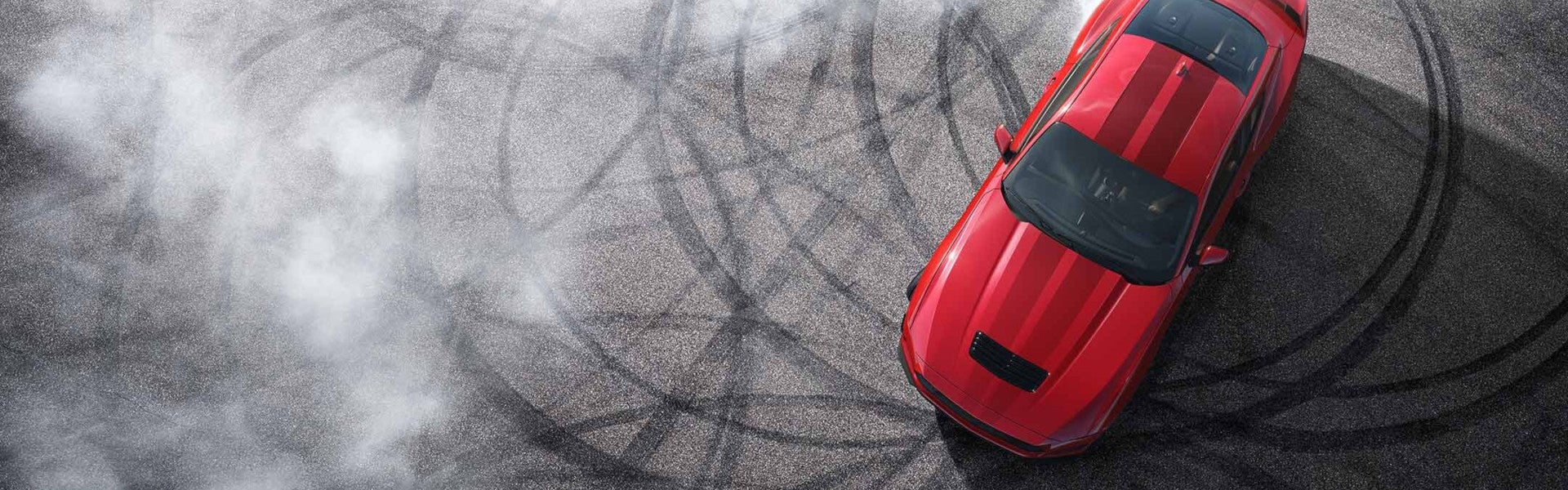 gtd mustang Summers County, WV